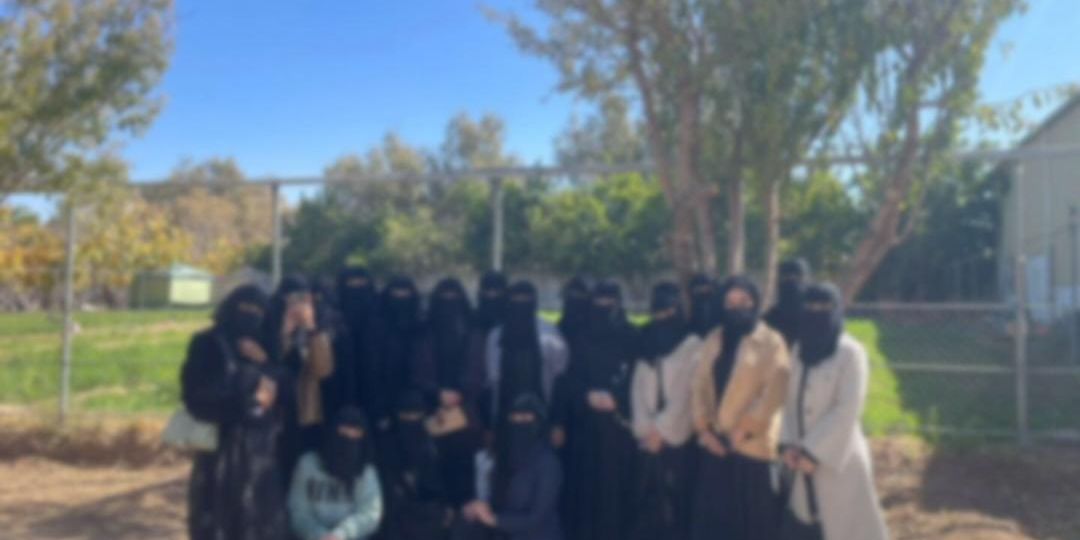 IMG-20251125-WA0021[1]